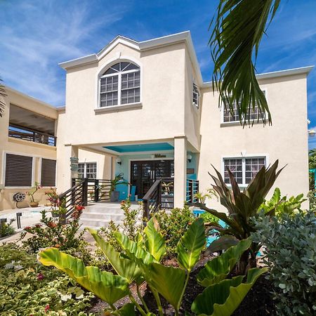 Bed and Breakfast Hidden Gem Barbados Christ Church Exteriér fotografie
